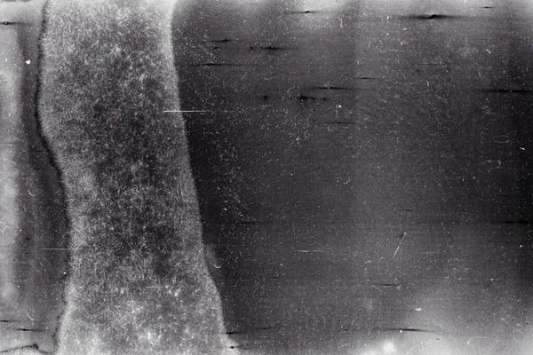 Film Grain